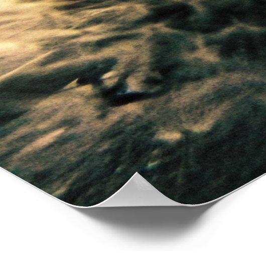 Overschaduwd Poster (Hoek)