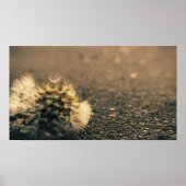 Overschaduwd Poster (Voorkant)