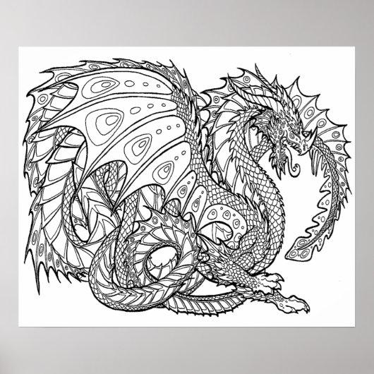 Oversize 20 x 24 het Kleuren Poster 19 (Voorkant)