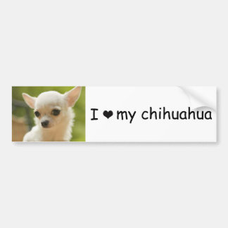 overslagklever voor chihuahua bumpersticker