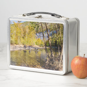 Oversteek van de Buffalo Rivier Lunchbox
