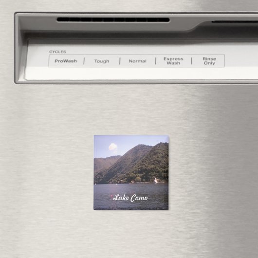 Oversteek van het Comomeer Magneet (Insitu (Vaatwasser))