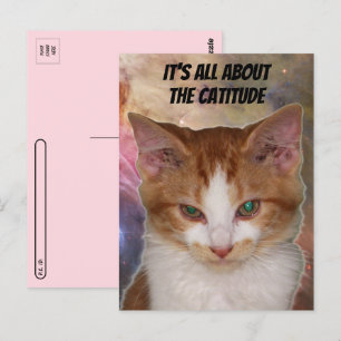 Oversteken van het Catitude-Briefkaart van Reba Briefkaart