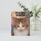 Oversteken van het Catitude-Briefkaart van Reba Briefkaart (Staand voorkant)