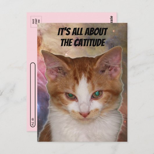 Oversteken van het Catitude-Briefkaart van Reba Briefkaart (Voorkant / Achterkant)