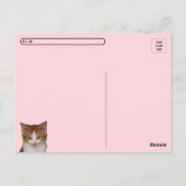 Oversteken van het Catitude-Briefkaart van Reba Briefkaart (Achterkant)