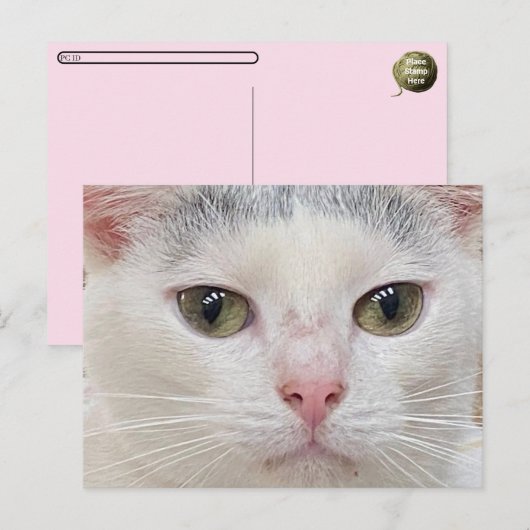 Oversteken van het Close Up Briefkaart van George  (Voorkant / Achterkant)