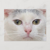 Oversteken van het Close Up Briefkaart van George  (Voorkant)