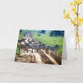 overstekende zebra kaart (Gele Bloem)