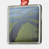 Overstromde antenne van de archipel van Anavilhana Metalen Ornament (Links)