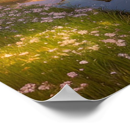 Overstromend plattelandsdorp van Tranquil in het v Poster (Hoek)