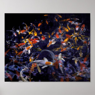OVERSTROMING KOI VIS POSTER