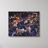 OVERSTROMING KOI VISSEN CANVAS AFDRUK (Voorkant)