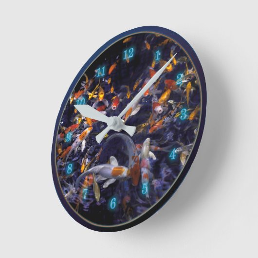 OVERSTROMING KOI VISSEN RONDE KLOK (Hoek)