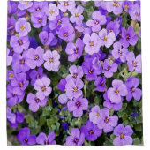 Overtredingen Douchegordijn (Voorkant)