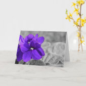 Overtredingen Kaart (Gele Bloem)