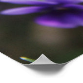 Overtredingen Poster (Hoek)