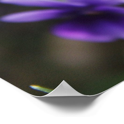 Overtredingen Poster (Hoek)