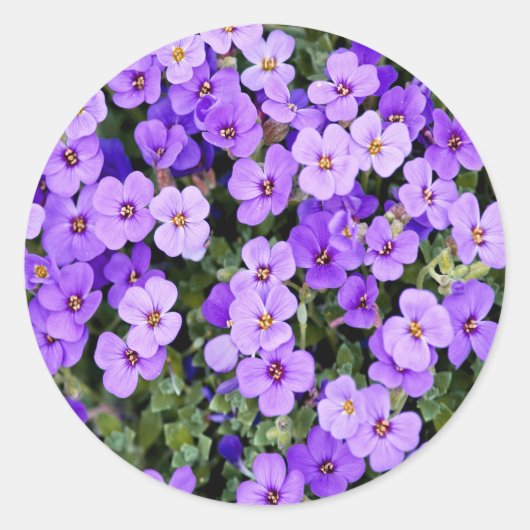 Overtredingen Ronde Sticker (Voorkant)