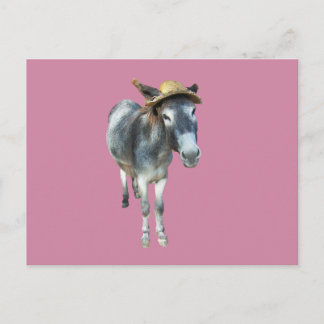 Overtreed de Donkey in Pet met bloemen Briefkaart