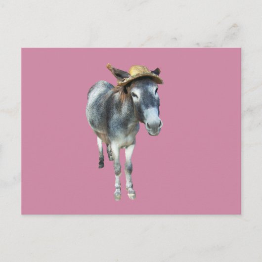 Overtreed de Donkey in Pet met bloemen Briefkaart (Voorkant)