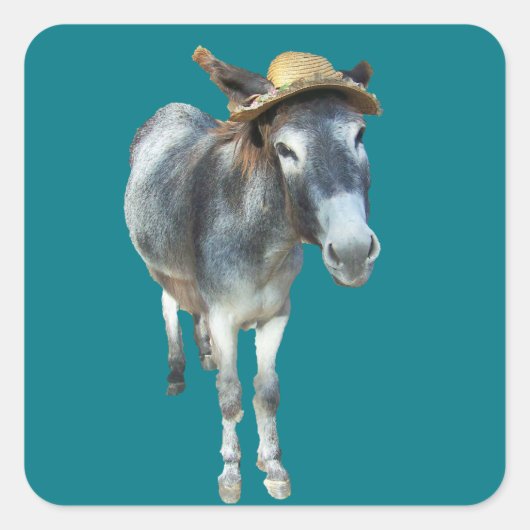 Overtreed de Donkey in Pet met bloemen Vierkante Sticker (Voorkant)
