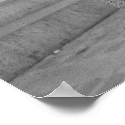 overvallen vrouwen, 1913 poster (Hoek)