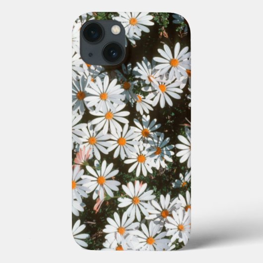 Overvloed van witte madeliefjes (Asteraceae) Case-Mate iPhone Case (Achterkant)