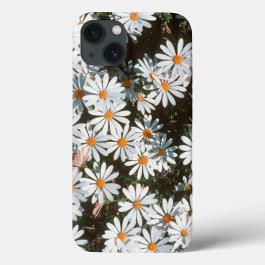 Overvloed van witte madeliefjes (Asteraceae) Case-Mate iPhone Case (Achterkant)