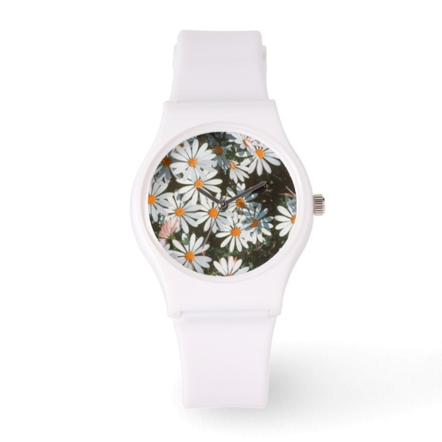 Overvloed van witte madeliefjes (Asteraceae) Horloge (Voorkant)