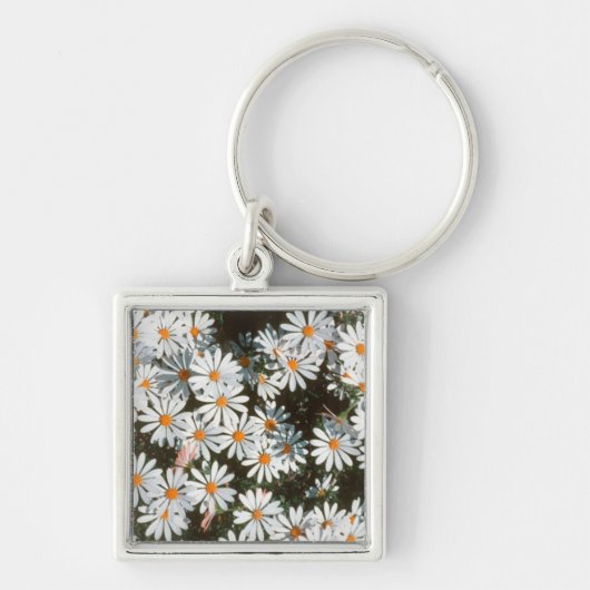 Overvloed van witte madeliefjes (Asteraceae) Sleutelhanger (Voorkant)