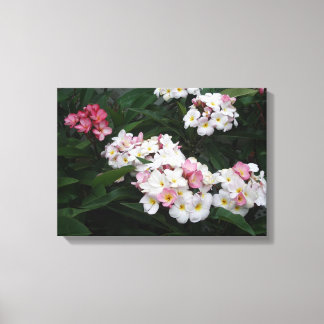Overvloed van Zomerplumerias Canvas Afdruk