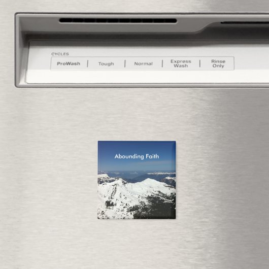 Overvloedig geloof Bergen Magneet (Insitu (Vaatwasser))