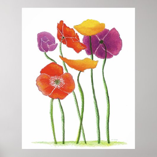 Overvloedig Poppies waterverf schilderij Poster (Voorkant)