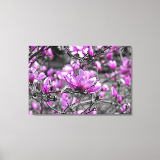 Overvloedige Magnolia Blooms Triptiek Canvas Afdruk (Voorkant)
