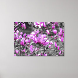 Overvloedige Magnolia Blooms Triptiek Canvas Afdruk