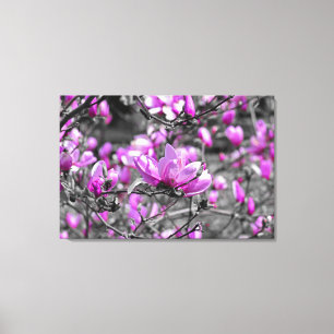 Overvloedige Magnolia Blooms Triptiek Canvas Afdruk