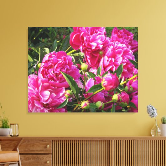 Overvloedige pioenen canvas afdruk (Insitu (Woonkamer))