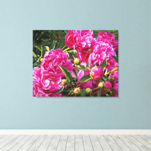 Overvloedige pioenen canvas afdruk (Insitu (Houten vloer))