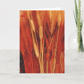 Overvloedige Zegen Feestdagen Kaart