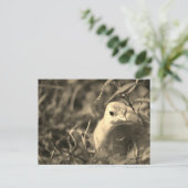 Overvloeien in Briefkaart (Staand voorkant)