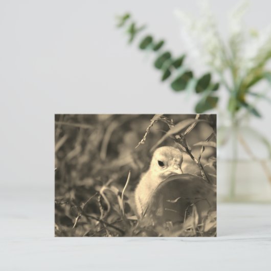 Overvloeien in Briefkaart (Staand voorkant)