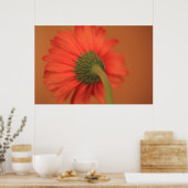 Overvloeiing Poster (Keuken)