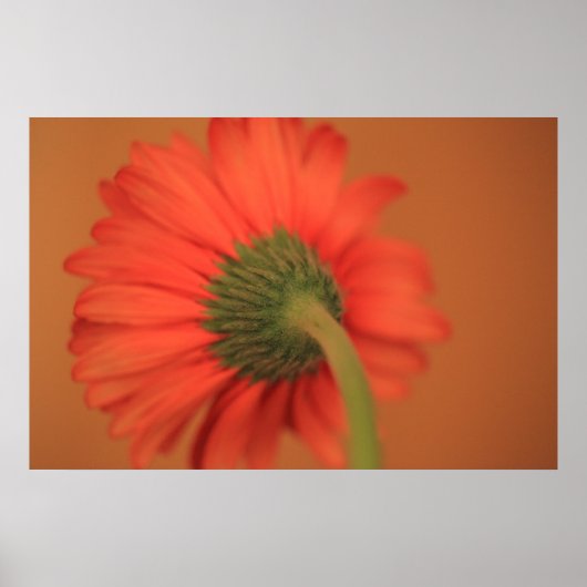 Overvloeiing Poster (Voorkant)