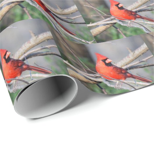 Overvulpapier voor kardinale lente cadeaupapier (Rol Hoek)