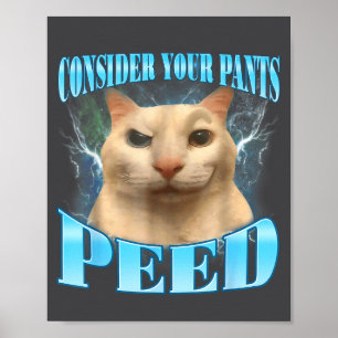 Overweeg Dat Je Broek Grappig Geplast Gekke Katten Poster