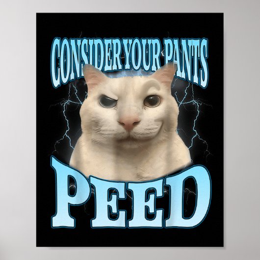 Overweeg Dat Je Broek Piste Grappige Freak Kat Mem Poster (Voorkant)
