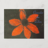 Overweeg de Kunst Romans 8:38-39 van de Schrift va Briefkaart (Voorkant)