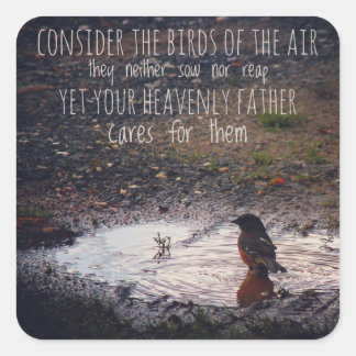 Overweeg de vogels van de Stickers in de lucht