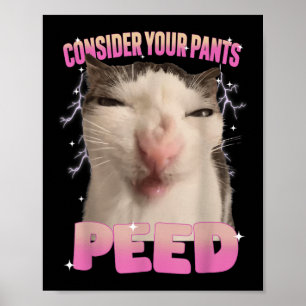 Overweeg Je Broek Geplast Domme Kat Meme Grappige Poster